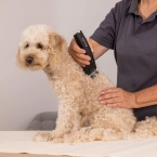 Επαναφορτιζόμενη Κουρευτική Μηχανή για Κατοικίδια